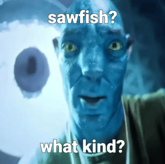 Avatar Meme